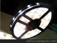厂家直供10mm板5050套管灯条 家居装修暖白亮白防水 品质保证