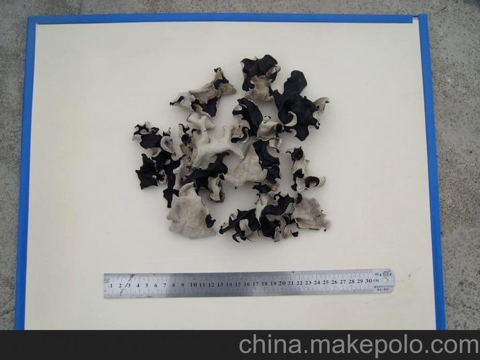降脂清血管的食品-白背毛木耳圖片