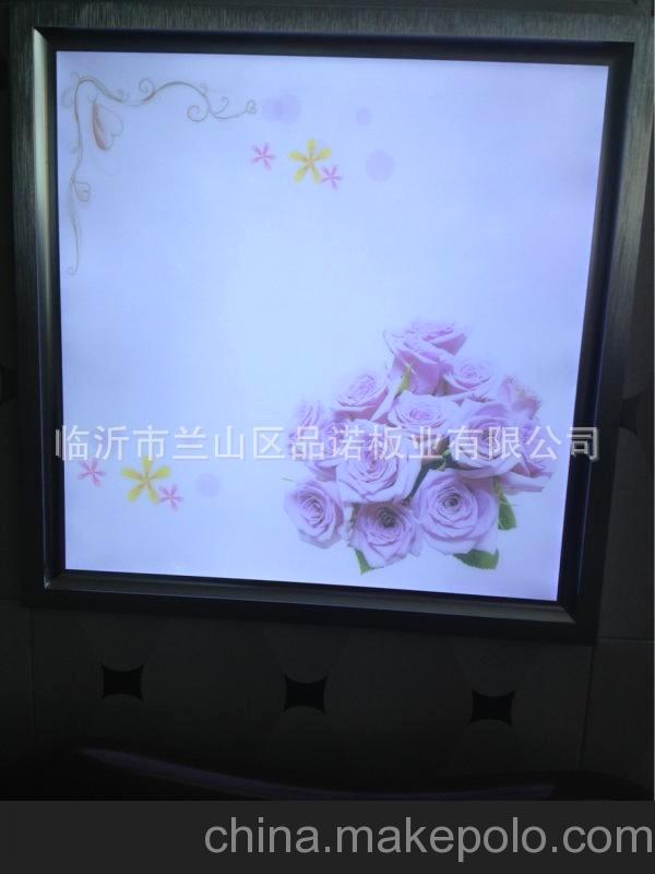 pp擴散板廠家，質(zhì)優(yōu)價低，提供樣品，山東pp擴散板