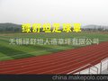 （绿舒坦）人造草坪跑道施工、人造地毯草坪、常绿&环保&经济实用