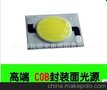 厂家供应LED大功率COB光源、面光源 3、5、7W
