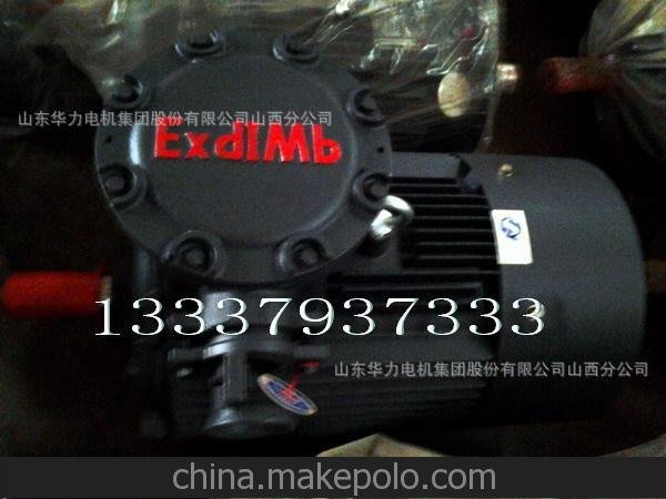 YH電機(jī) 華力YH電機(jī) 華力船用馬達(dá) 華力YH電機(jī)銷售 上海華力電機(jī)圖片