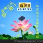 現貨供應 MAXIM(美信) MAX8505EEE 集成電路IC 原裝正品