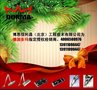 德国多玛 闭门器/关门器/不定位闭门器TS71 德国多玛授权总代理