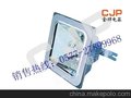 供应NFC9100 防眩棚顶灯 NFC9100