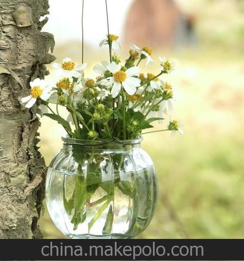 批發(fā)zakka雜貨 鐵線南瓜吊瓶 水培容器 插花瓶 質(zhì)量保證促銷特價(jià)圖片