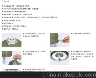BAD62-250 防爆燈 金鹵燈 高壓鈉燈 各種防爆燈 防爆電器 接線盒