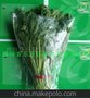 果蔬保鲜延长方式