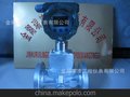 定量控制流量计 真正实现定量加料