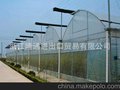大量供应 80目防虫网 抗老化蔬菜防虫网